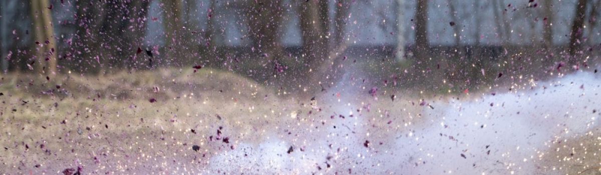 Ein Kohlkopf wird mit einem Feuerwerkskörper in die Luft gesprengt. Am Unfallkrankenhaus Berlin (ukb) startet das Feuerwerk-Präventionsprojekts C.L.E.V.E.R, das Kinder auf die Gefahren von Feuerwerk aufmerksam machen soll. (zu dpa: «Workshops zeigen Schülern Gefahren von Feuerwerk»)